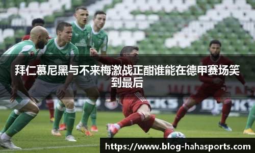 哈哈体育官网