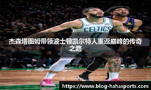 哈哈体育
