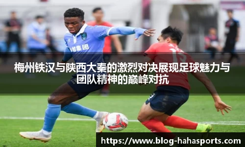 哈哈体育平台