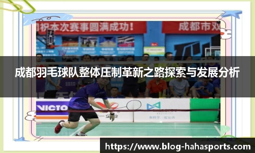 哈哈体育平台