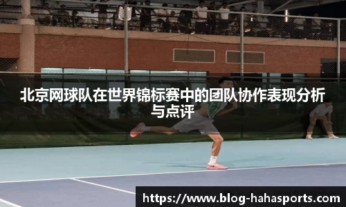 哈哈体育平台